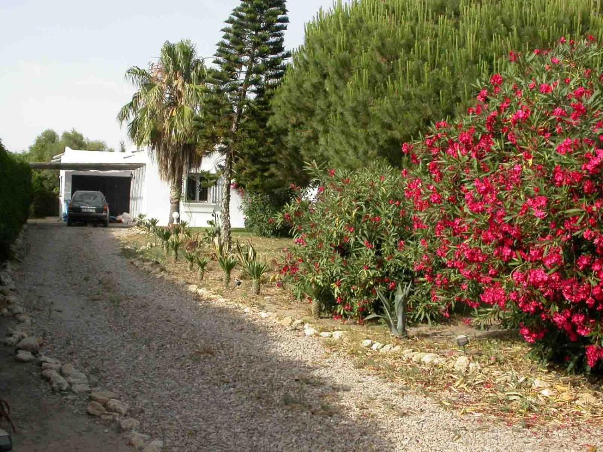 Beach Front Villa 10,000M2 Botanic Garden Zahora Buitenkant foto